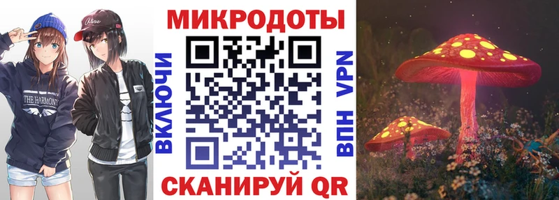 где продают   hydra вход  Псилоцибиновые грибы MAGIC MUSHROOMS  Гдов 